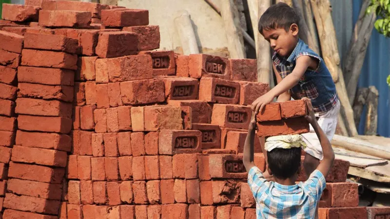 103 000 enfants travailleurs au Maroc en 2025 : rapport HCP