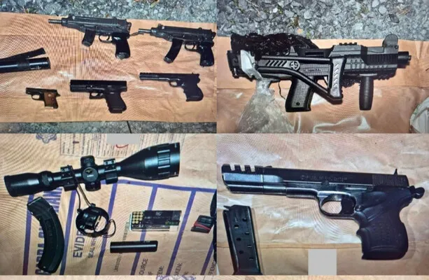 11 military-grade guns seized in Kildare and Laois raids
