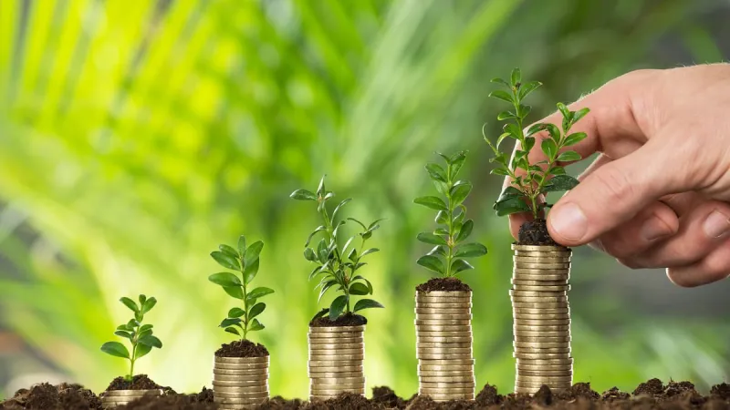 Taux KiwiSaver de 12% : Impact sur l'épargne retraite