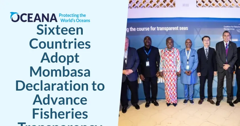 16 Nations Sign Mombasa Declaration for Fisheries Transparency
