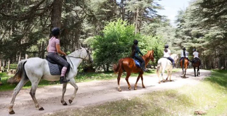 Ifrane : Un circuit équestre balisé de 181 km pour le tourisme durable