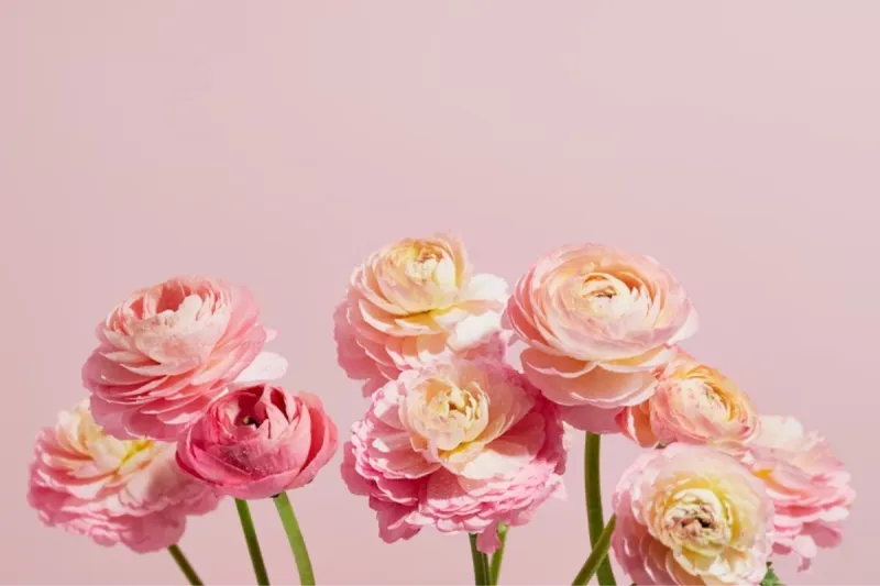 Fête des mères : 3 cadeaux pour dire je t'aime