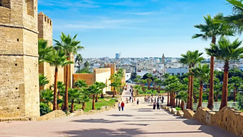 44% of Moroccans Considered Leaving: Breton Survey
