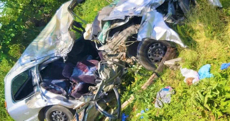 $500K Award After Crash Kills Woman and Nephew