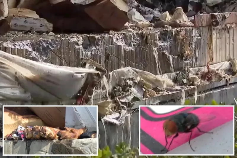 85M lbs of food lost in Boyle Heights warehouse fire