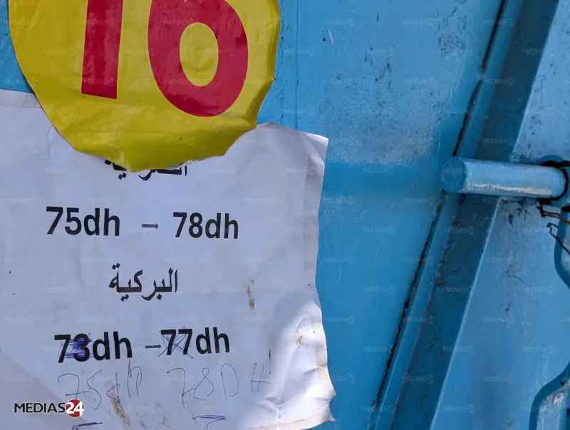 Aïd al-Adha 2026 : le mouton hors de prix à Casablanca