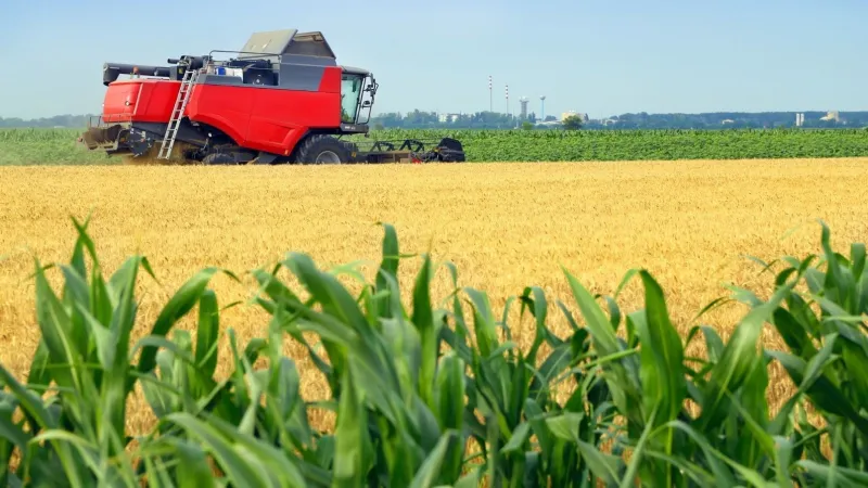 ADA Approves 125 Farm Projects Covering 5,877 Ha in 2025