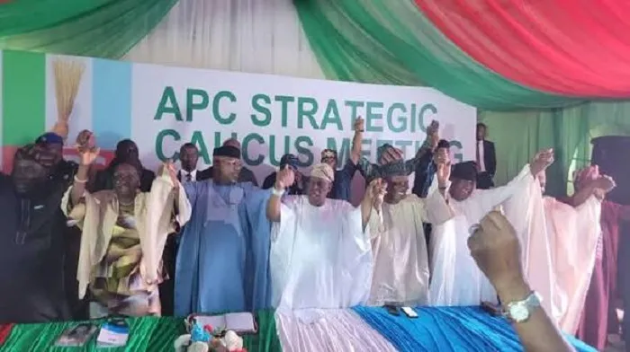 Adeola named Ogun APC consensus candidate, Hamzat backed in Lagos