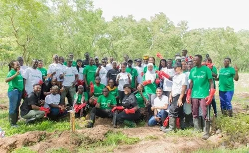 Advans Ghana plante 1 600 arbres dans les réserves forestières