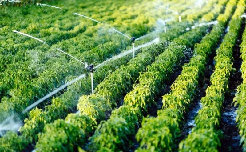 AfDB Supports Morocco's Precision Agriculture Shift