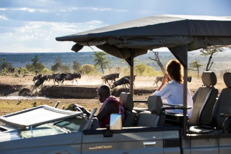 African Travel Doubles Small Group Tours for 2027