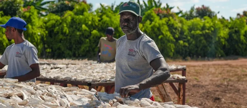Africa's Food Market Projected to Reach $1 Trillion by 2030