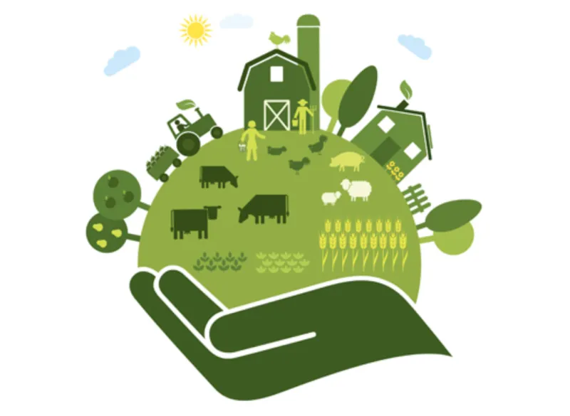 Agroecology Debate at SIAM 2026 Highlights Moroccan Roots