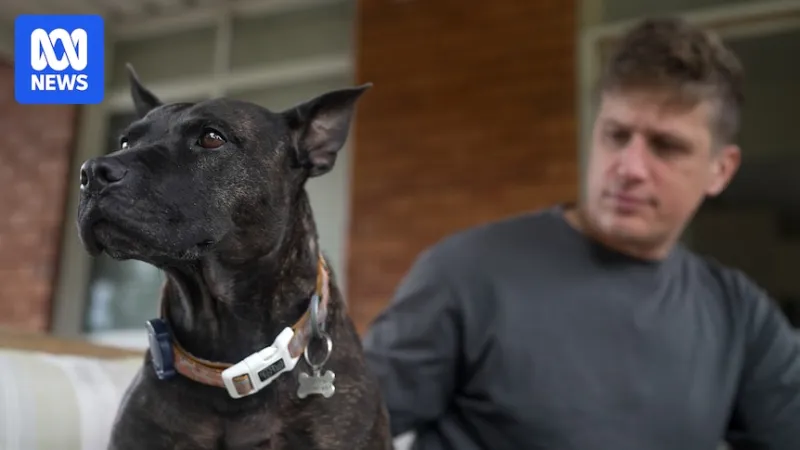 AI-designed dog cancer vaccine faces regulatory hurdles