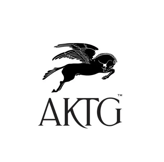 A&K Travel Group Prices $700M Senior Notes Due 2033