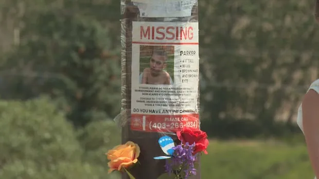 Alberta to review emergency alert system after Calgary boy search
