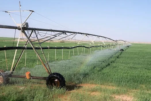 Algeria: 366,000+ Hectares Converted to Drip Irrigation