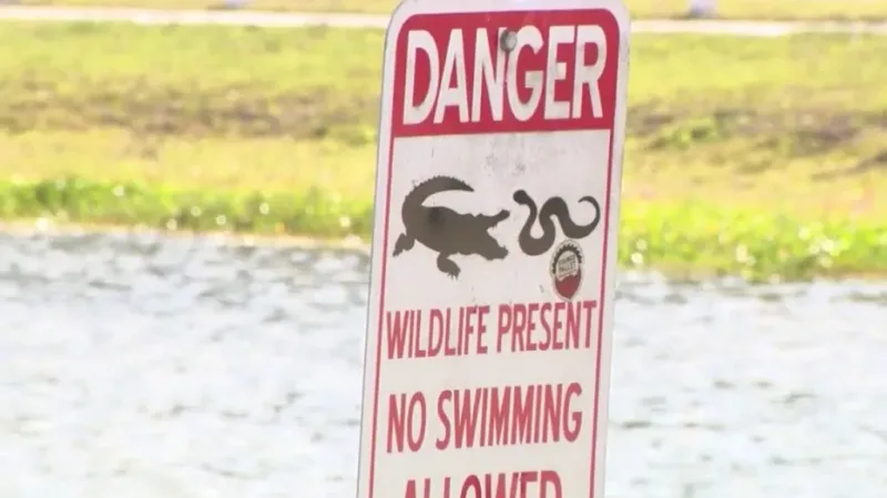 Alligator sighting near Oviedo dog park prompts safety warning