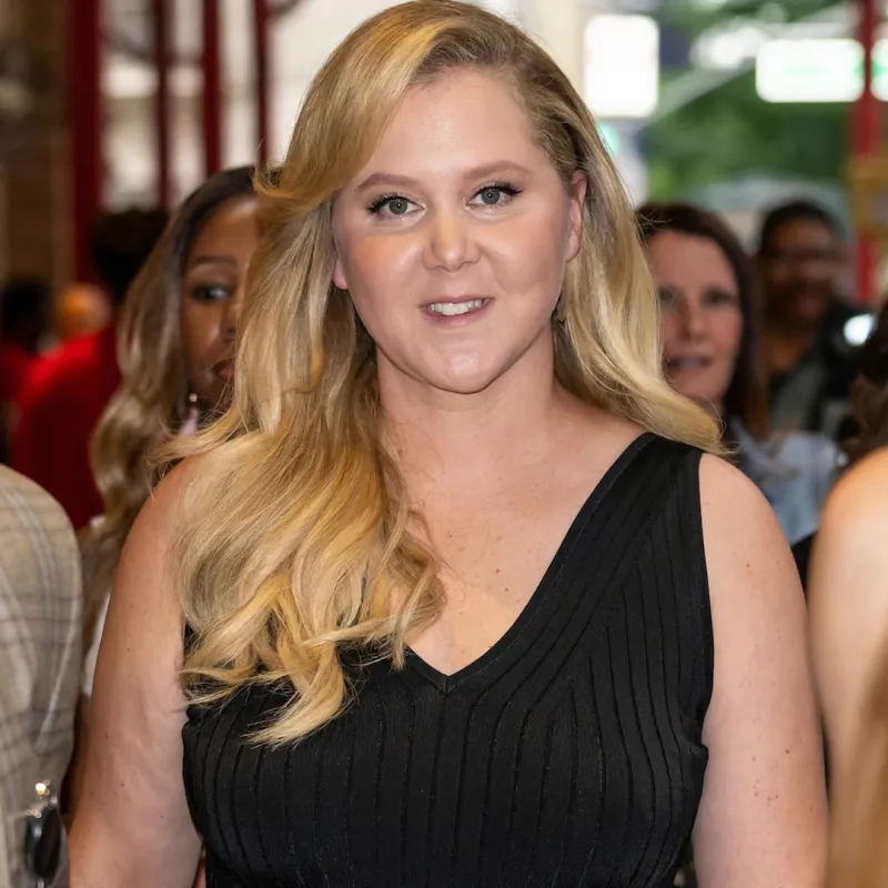 Amy Schumer Shows Off 'Dream Home' After Split