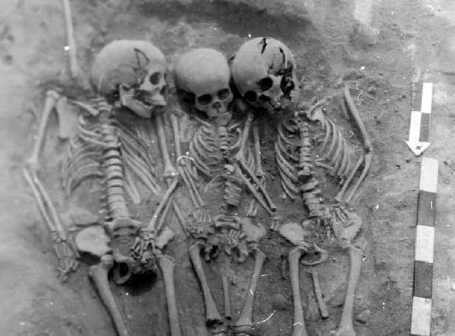 Ancient Plague Found in Siberian Hunter-Gatherer Teeth