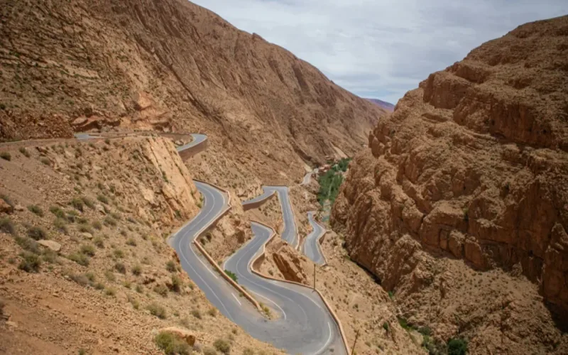 Ancient Sea Creature Fossils Found in Morocco Redefine Marine History