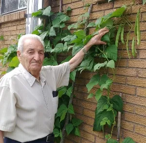 Antonio Mangiardi: Who Is He?