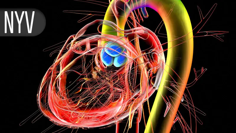 Aortic Stenosis Diagnosis Improves, Treatment Delays Persist