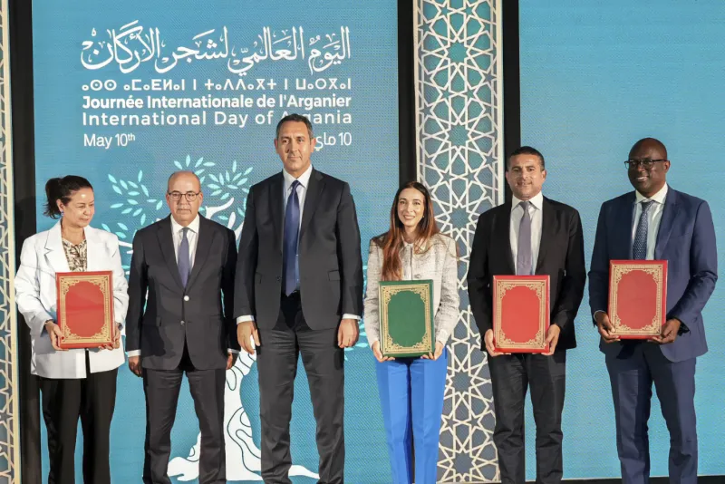 Argan Tree: Climate Resilience & Economic Promise in Morocco