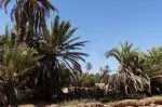 L'oasis d'Asrir et la cité perdue de Nul Lamta