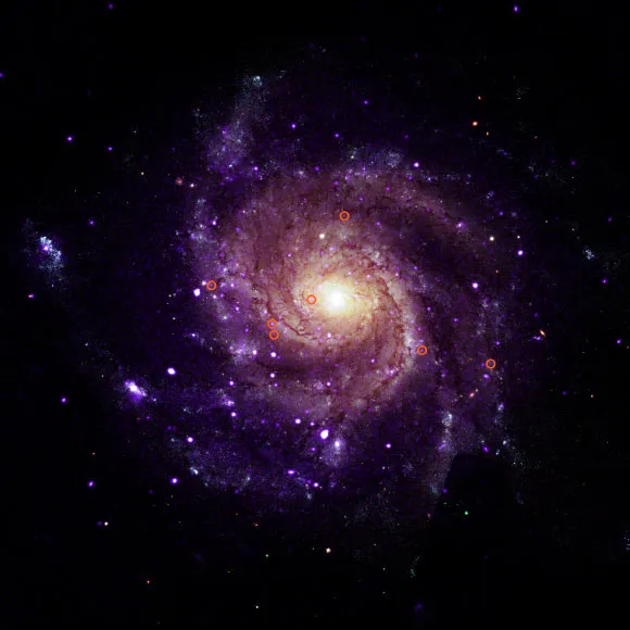 Astronomers Discover New Class of X-Ray Objects