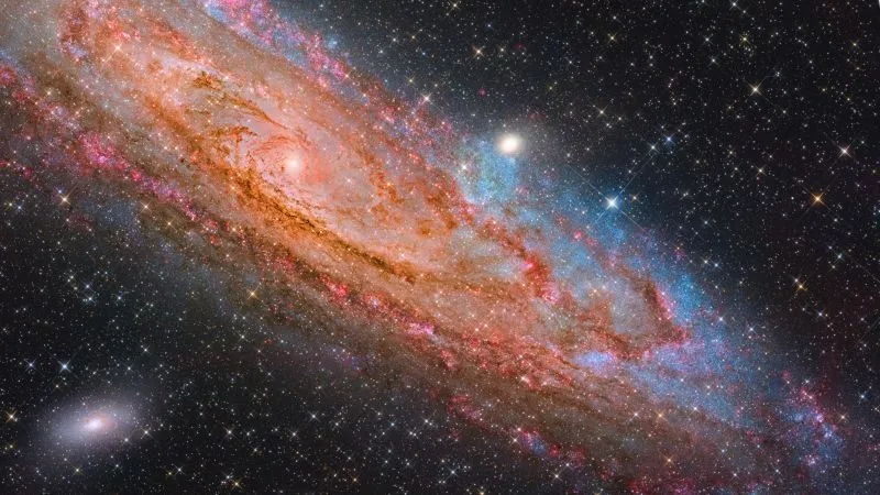 Astronomy Photographer of the Year: Here are the final contenders