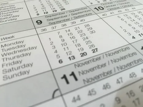 ASX Ex-Dividend Dates Next Week: Key Shares