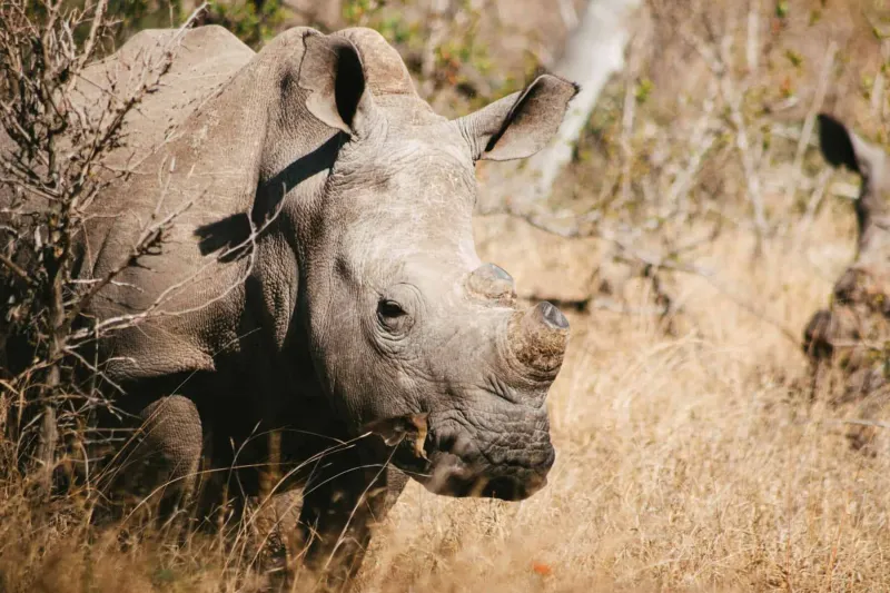 Enchères ATCF pour la conservation dès le 27 sept.