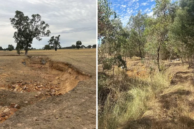 Australian creek restoration shows dramatic recovery after decade