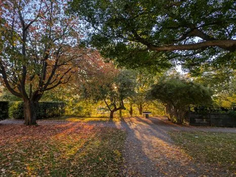 Autumn Equinox 2026: Fall Arrives Late Today