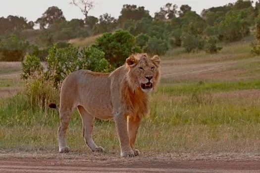 Bamasaba King Visits Kenya to Strengthen Cross-Border Ties