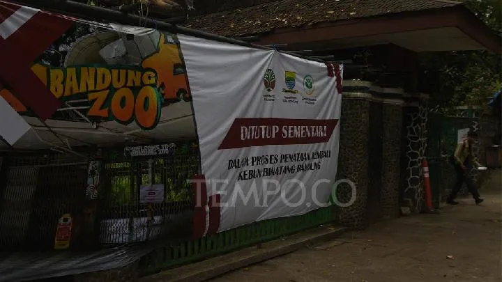 Bandung Zoo Faces Animal Relocation Amid Manager Search