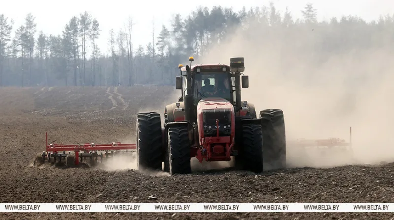 Belarus completes over 20% of spring sowing campaign