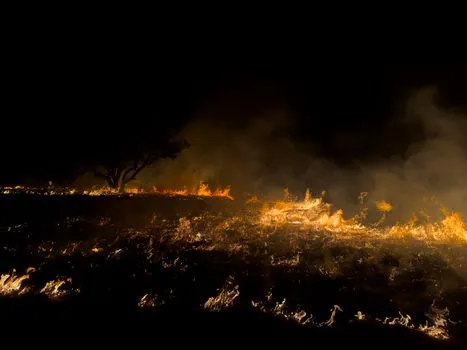 Berkeley Launches EMBER Wildfire Defense Initiative