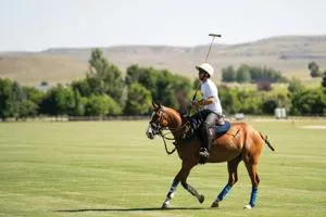 Big Horn Polo Weekend Results Announced