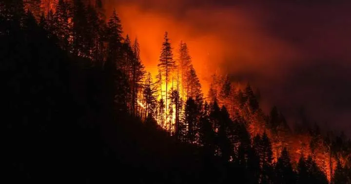 Boston Bar Wildfire Damages 7 Structures, Evacuations Ordered