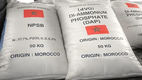 Brazil's Moroccan fertilizer imports up 27% by July