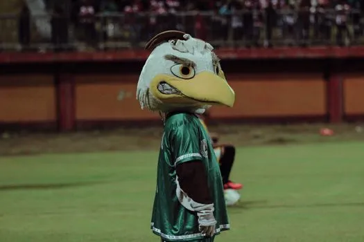 Broncos warn fans of cruel mascot audition scam
