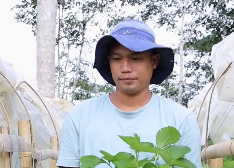Butuan City DA supports berry farmer's success