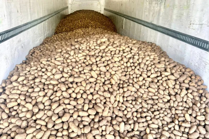 Un groupe de Calgary offrira 40 tonnes de pommes de terre ce week-end