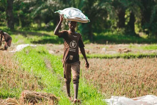 Cameroun, Maroc, PAM explorent de nouveaux partenariats alimentaires