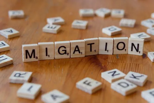 Canada to regulate immigration consultants amid fraud concerns