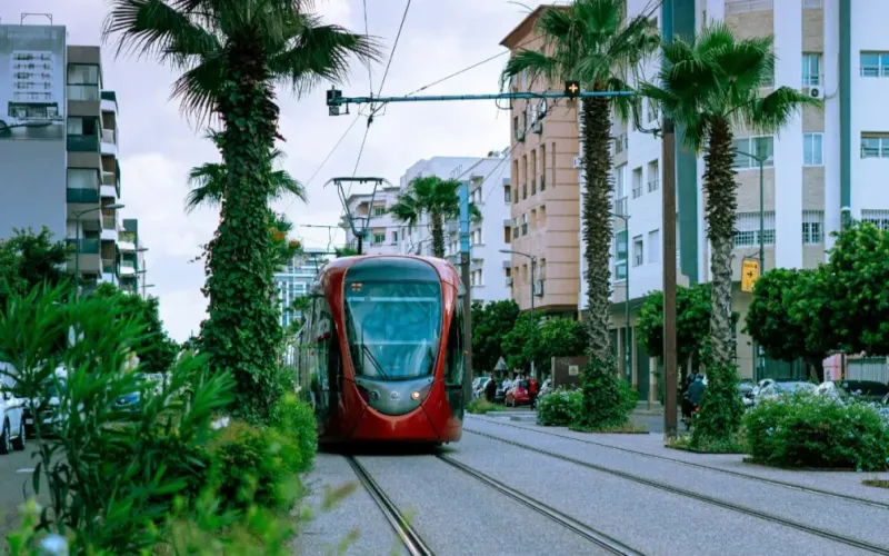 Casablanca: Real Estate Developers Meet Candidates Before Elections