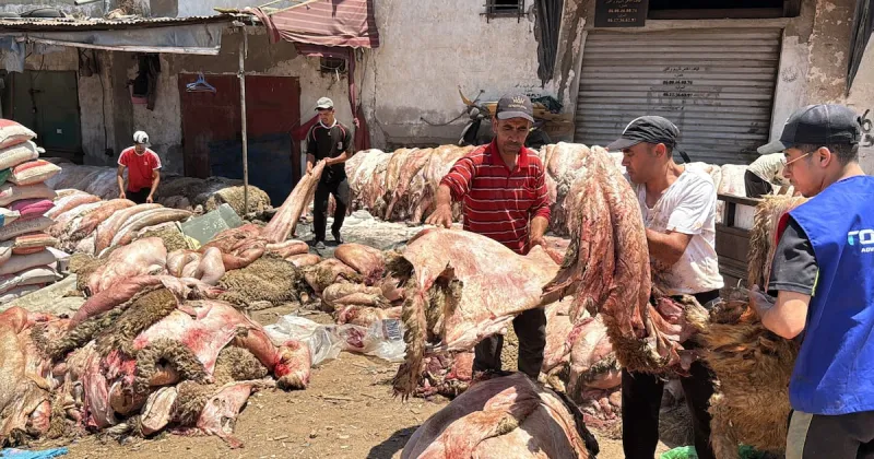 Marché aux peaux de moutons de Casablanca : tradition et mutation