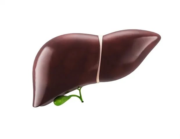 Celastrol reduces cholestatic liver injury by inhibiting specific protein